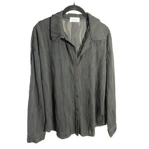 Kailieigh Black Pleated See Through Button Down‎ Long Sleeve Shirt